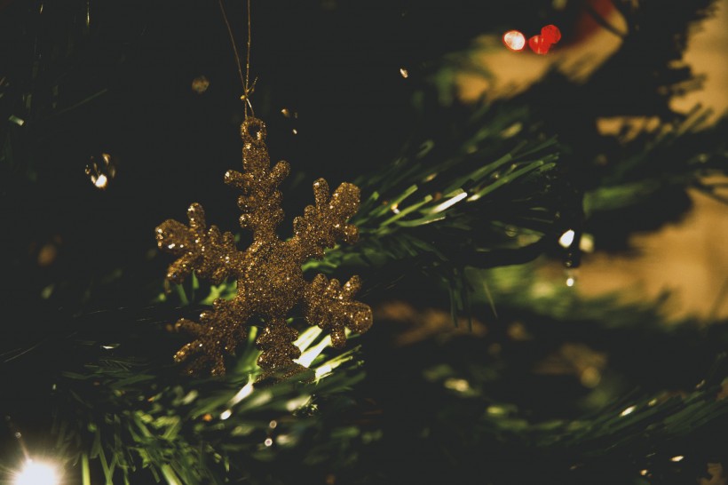 圣诞树上的小饰品图片(10张)