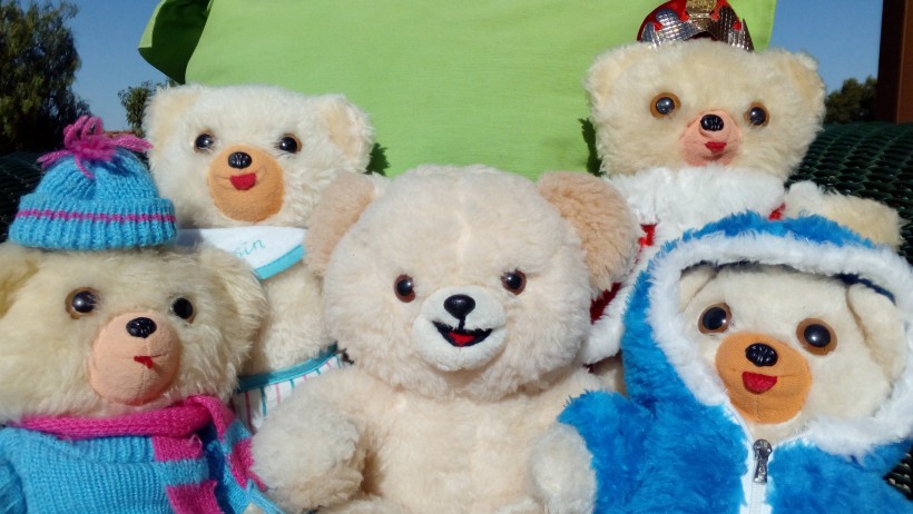 泰迪熊玩具图片(12张)