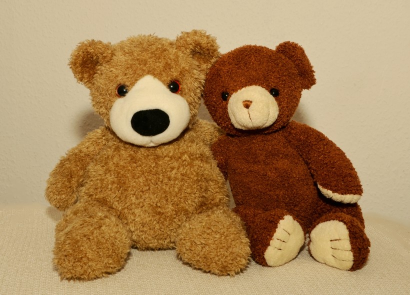 泰迪熊玩具图片(12张)