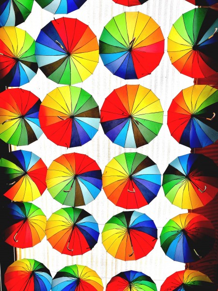 颜色各异的雨伞图片(17张)