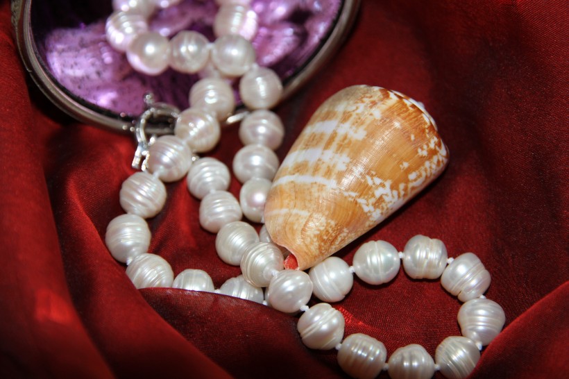 漂亮的珍珠项链图片(12张)