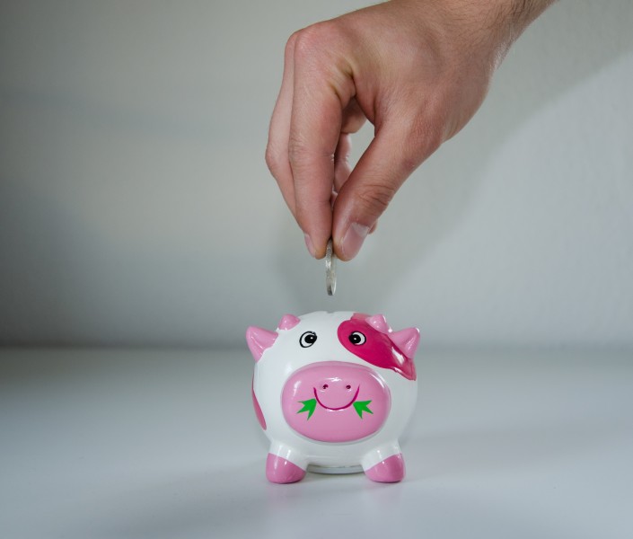 可爱的猪型存钱罐图片(11张)