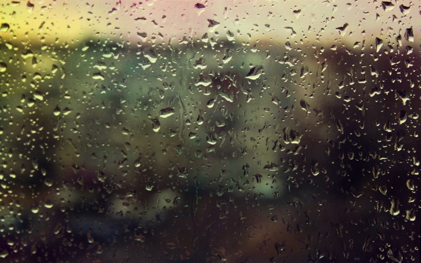 雨后的玻璃窗图片(28张)