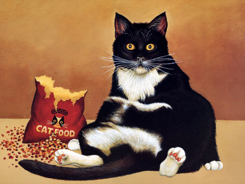 猫咪和它的小伙伴手绘图片(35张)