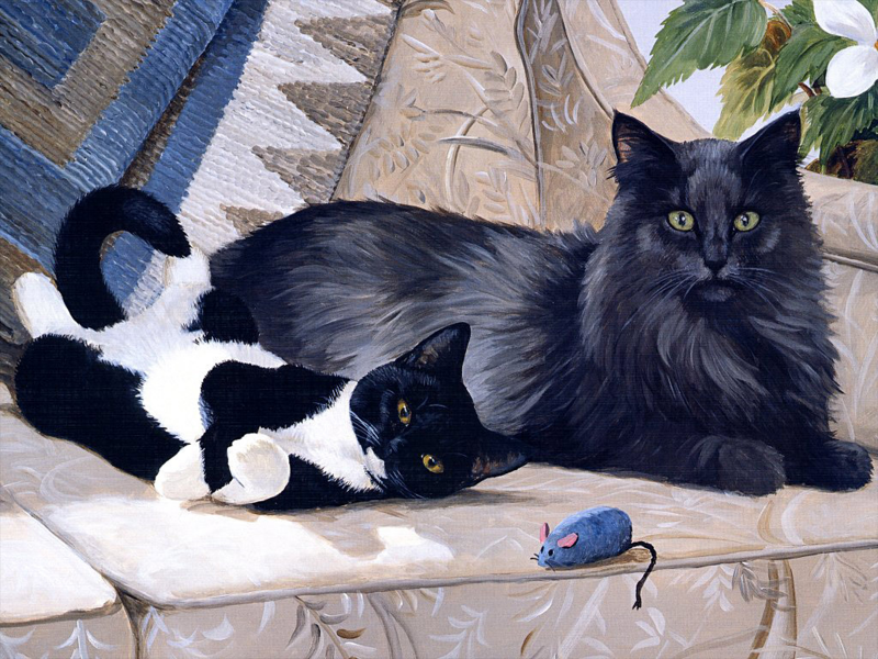 猫咪和它的小伙伴手绘图片(35张)