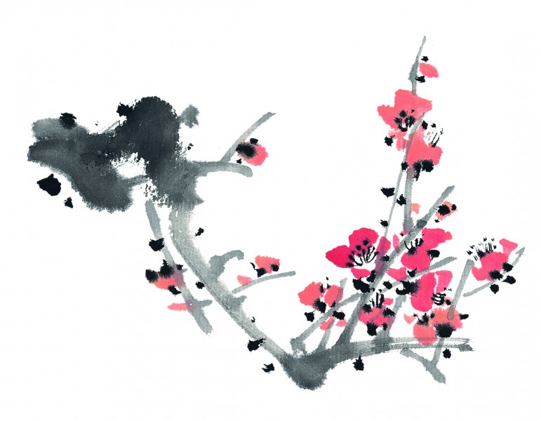 国画梅花图片(32张)