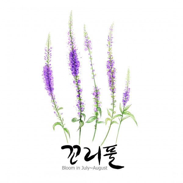 花草素描图片(35张)