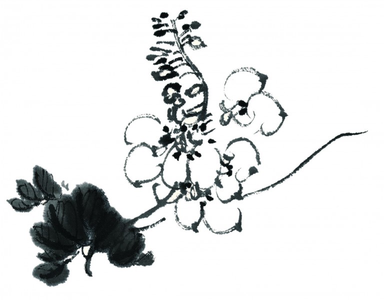 水墨花卉图片(235张)