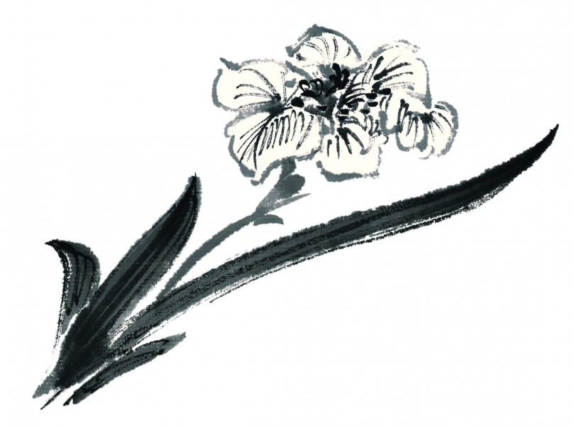 水墨花卉图片(60张)