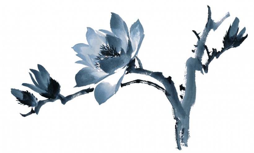 水墨花卉图片(60张)