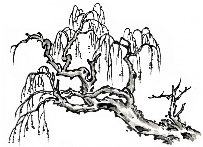 水墨柳树图片(11张)