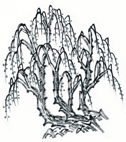 水墨柳树图片(11张)