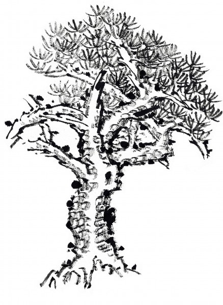 水墨松树图片(69张)