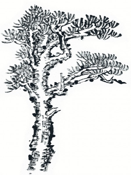 水墨松树图片(69张)
