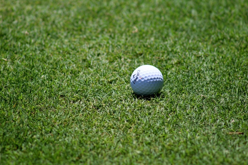 白色的高尔夫球图片(8张)