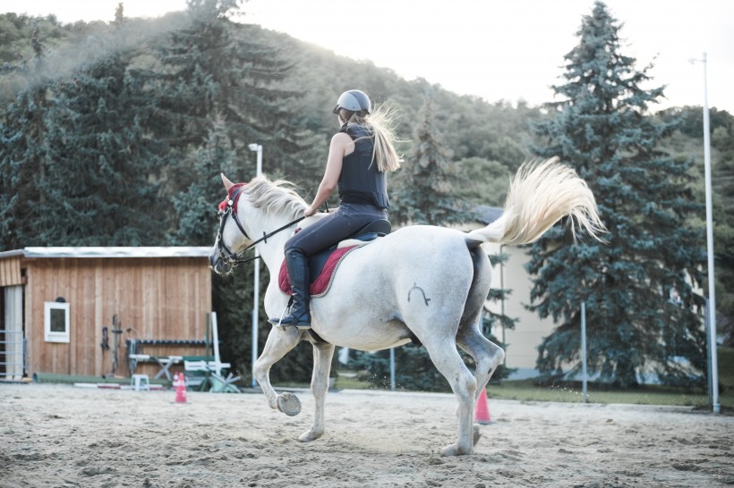 骑马运动高清图片(11张)