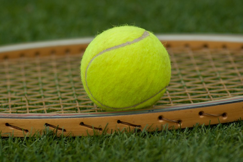 网球运动图片(24张)
