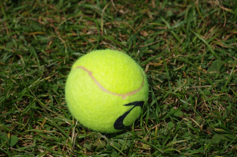 网球图片(21张)