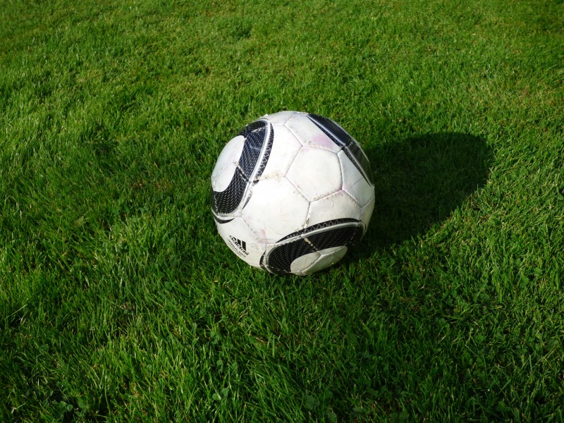草地上的足球图片(12张)