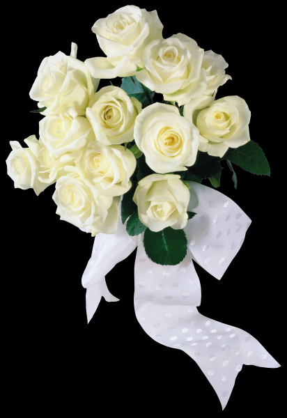 白玫瑰透明背景PNG图片(15张)