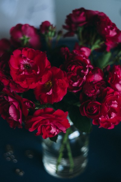 办公桌上的红玫瑰图片(11张)