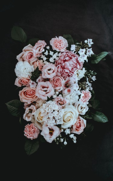 淡雅的玫瑰花图片(12张)