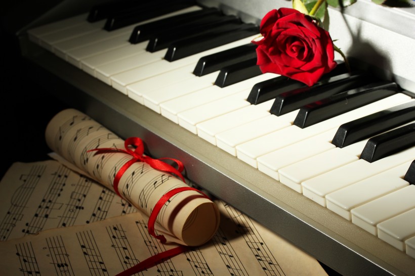 玫瑰花朵与钢琴图片(16张)