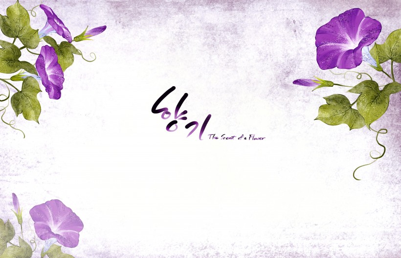 韩国浪漫紫色花朵背景图片(15张)