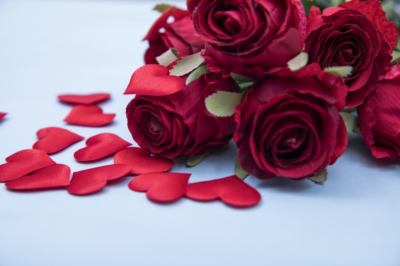红色的玫瑰花瓣图片(10张)
