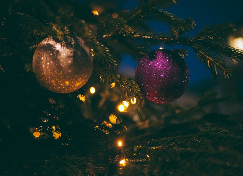 装饰美丽的圣诞树图片(16张)