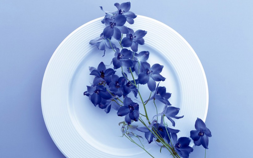 盘中鲜花图片(20张)