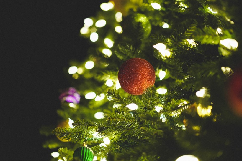 装饰美丽的圣诞树图片(11张)