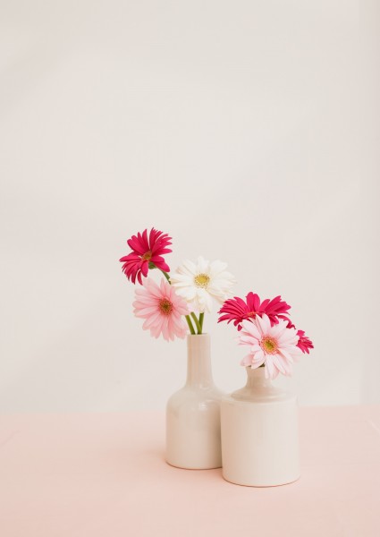 室内花卉图片(30张)