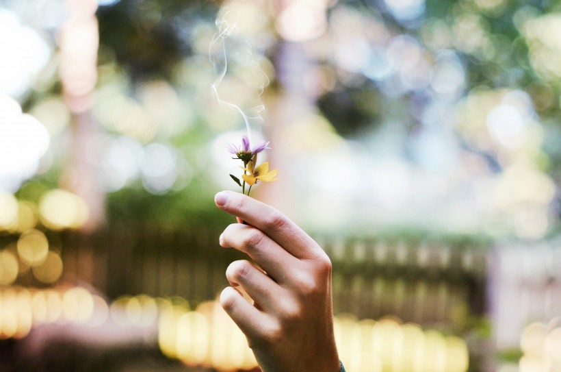 手里拿着各种各样的花图片(15张)