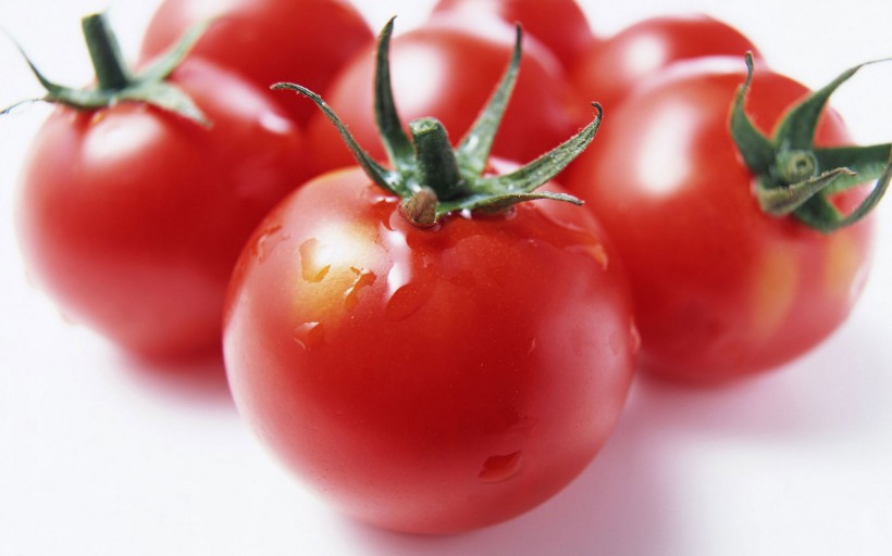 未成熟的西红柿图片(5张)