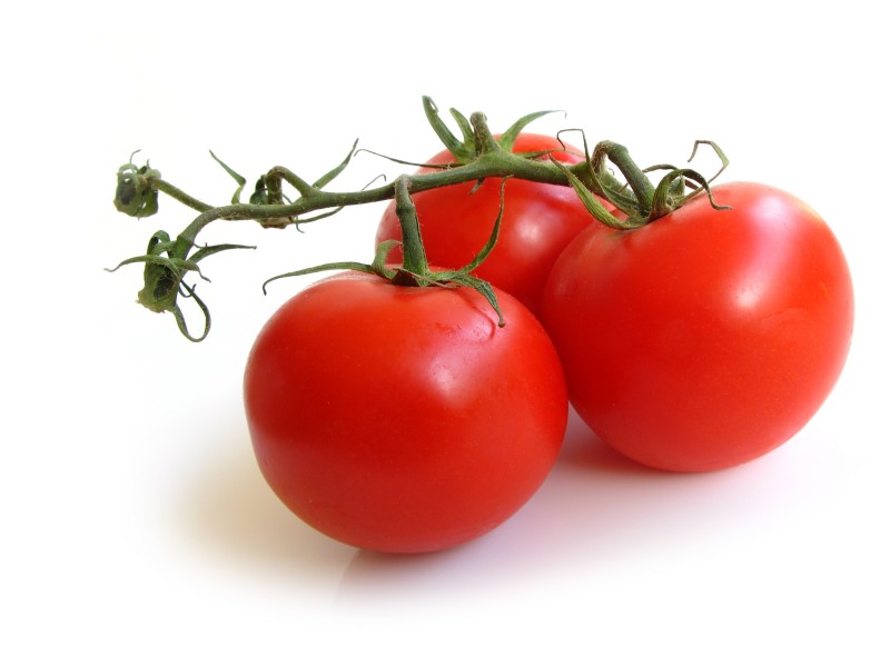 红红的番茄图片(16张)