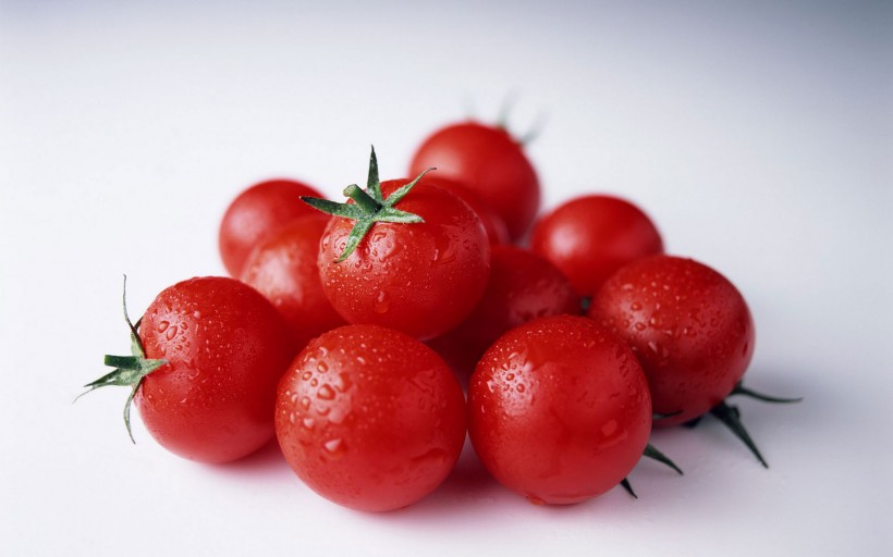 未成熟的西红柿图片(5张)