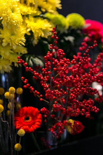 五颜六色的鲜花图片(10张)