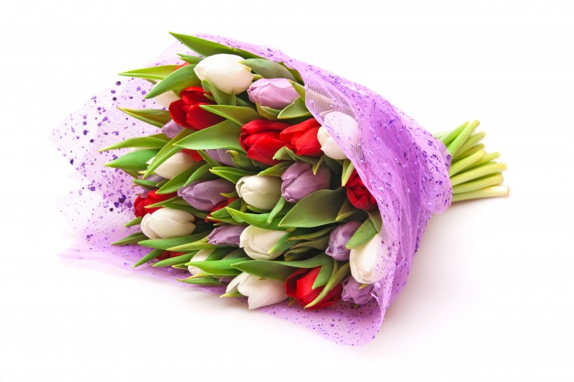 漂亮的郁金香鲜花花束图片(15张)