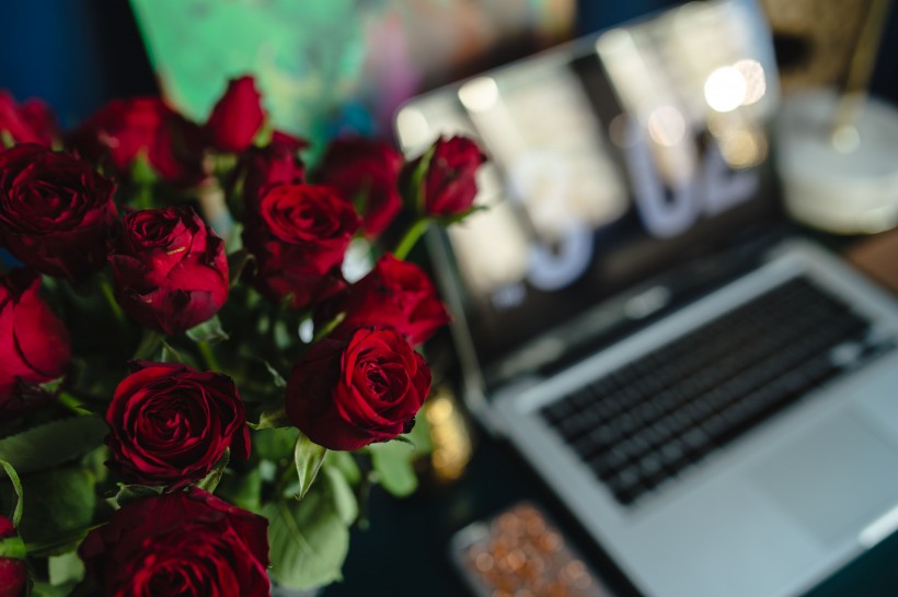 桌上的红玫瑰图片(10张)