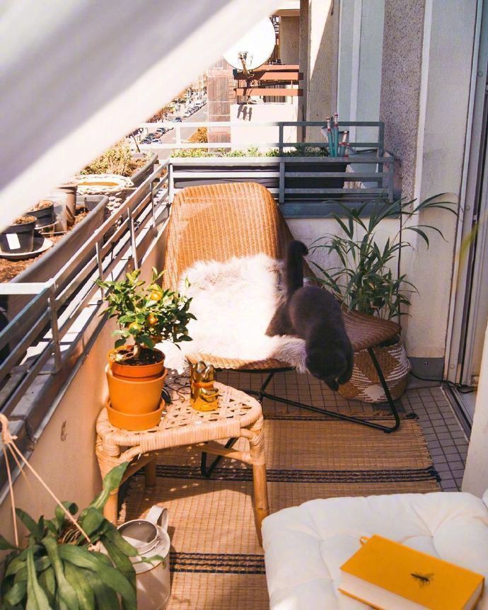 阳光与阳台并存的理想家居装修效果图