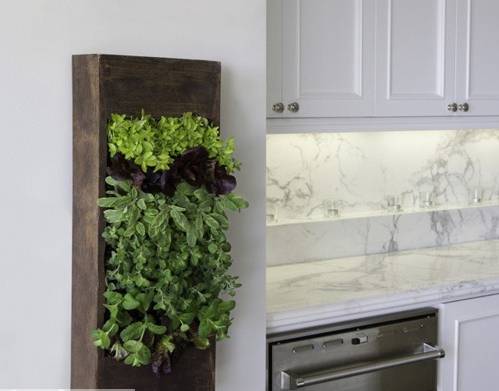 简约厨房背景墙植物设计方案