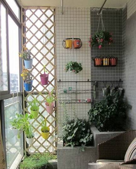 阳台植物设计方案