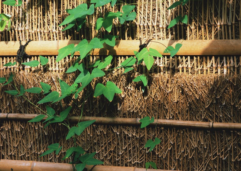 日式小屋图片_76张