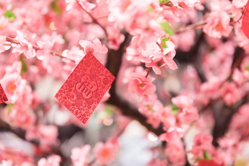 商场新年喜庆装饰图片_12张