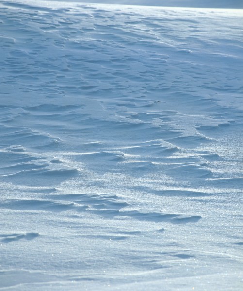 皑皑的雪地图片(10张)