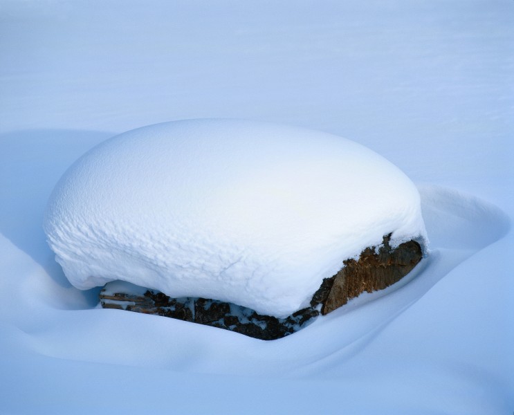 皑皑的雪地图片(10张)