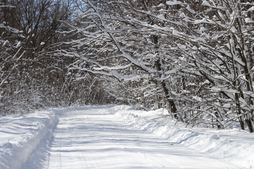白雪皑皑的冬季图片(12张)