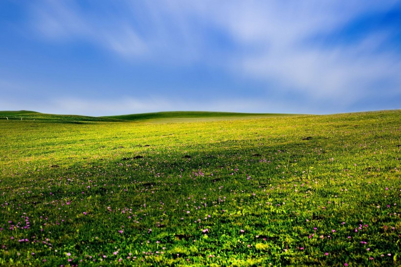 春天的草原风景图片(10张)