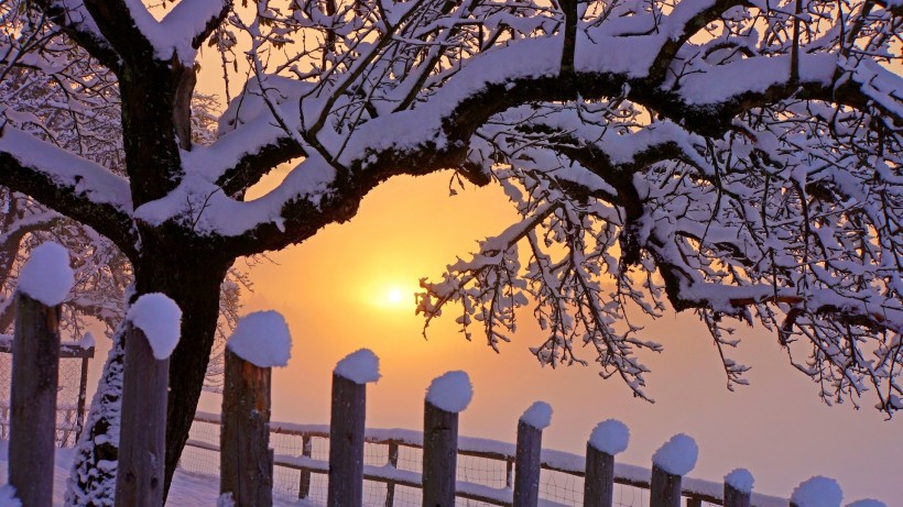 初雪唯美风景图片(11张)